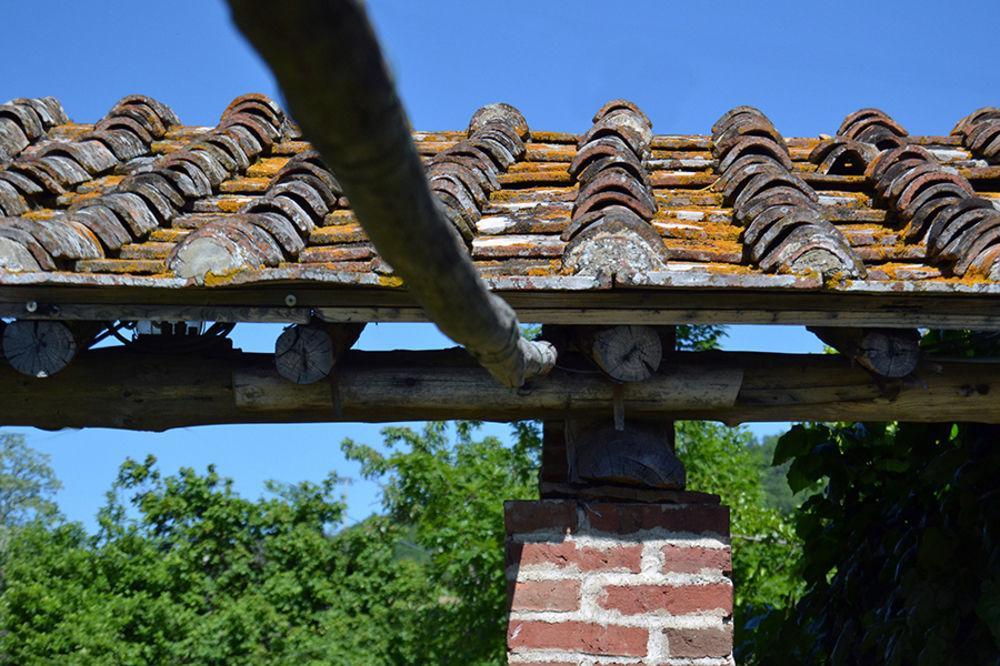 Locanda Di Praticino Petrognano  ภายนอก รูปภาพ